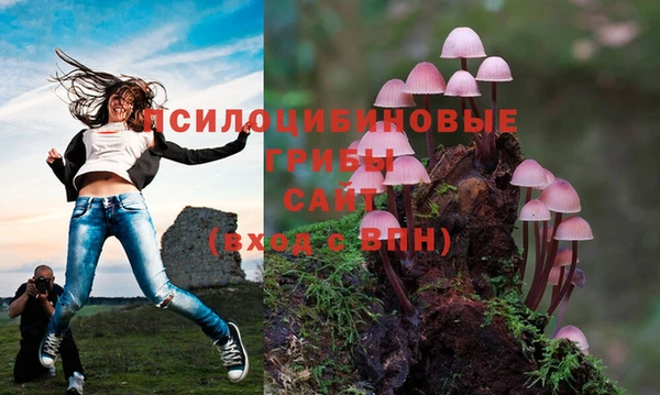 марки lsd Алексеевка