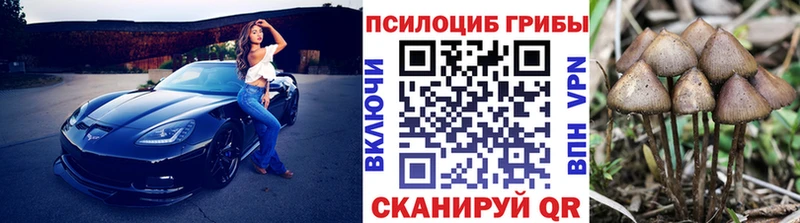 Псилоцибиновые грибы MAGIC MUSHROOMS  Бабаево 